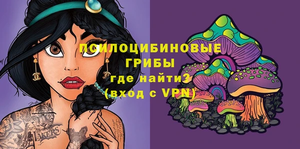 a pvp Абинск