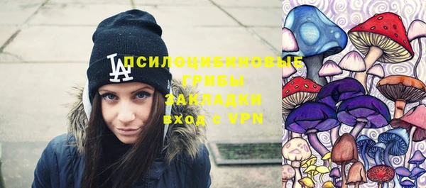 крисы Алексин