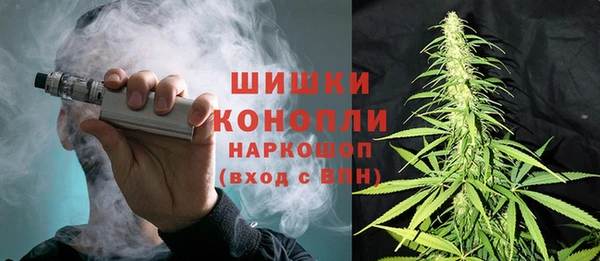 гидра Абаза