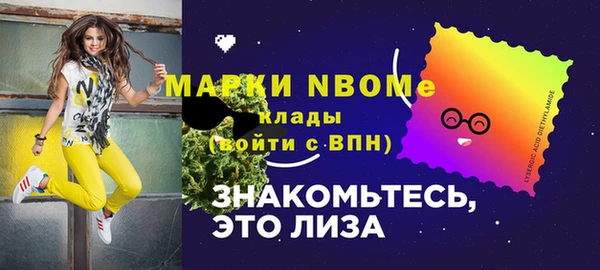 крисы Алексин
