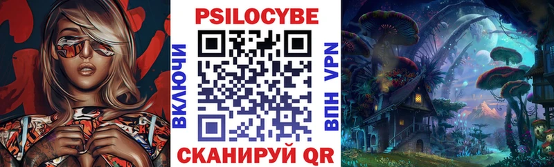 блэк спрут ТОР где купить наркотик Новоаннинский Псилоцибиновые грибы Cubensis